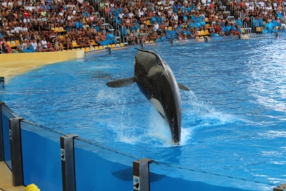 Loro Parque Tenerife