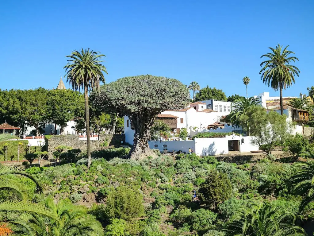 Icod de los vinos Tenerife