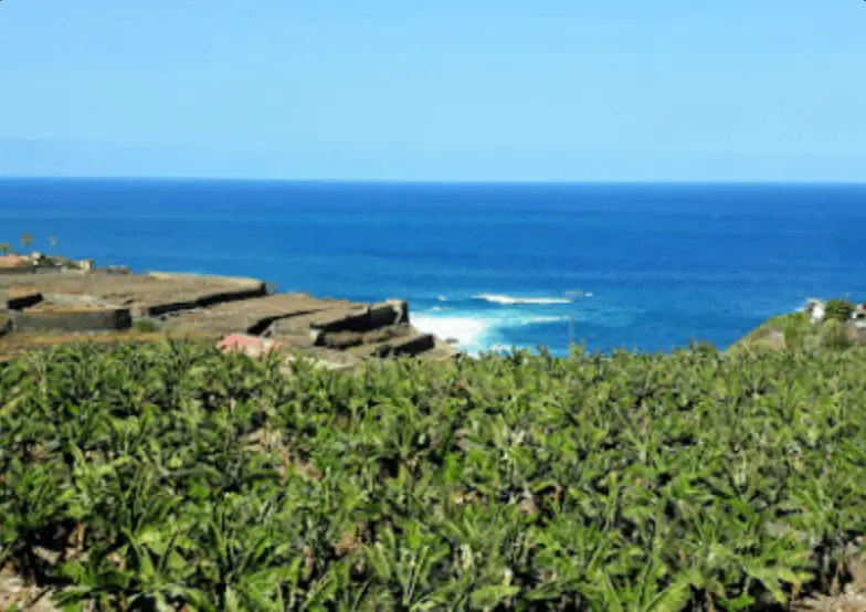 Wandern zum Strand- Playa Bollulu, Playa Los Patos und Playa El Ancón – El Rincon 3