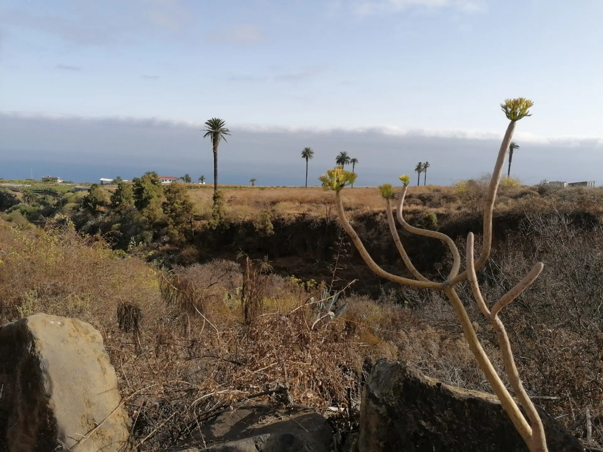 Wanderung durch La Quinta entlang des Barrancos und der Klippen – La Quinta 1