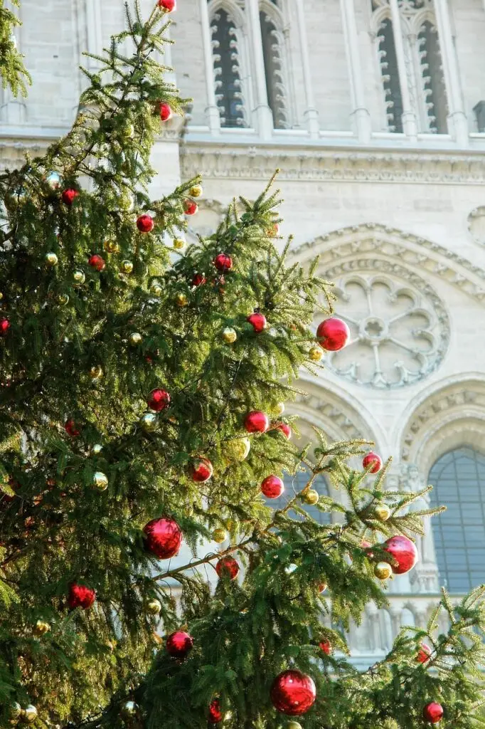 Weihnachten Teneriffa 2025 - Kanarische und Deutsche Weihnachtsmessen Weihnachten Teneriffa 2025 - Kanarische und Deutsche Weihnachtsmessen