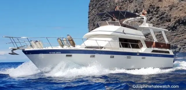 Carolin Sophie Bootstour Los Gigantes Bootsausflug dolphinwhalewatch.com
