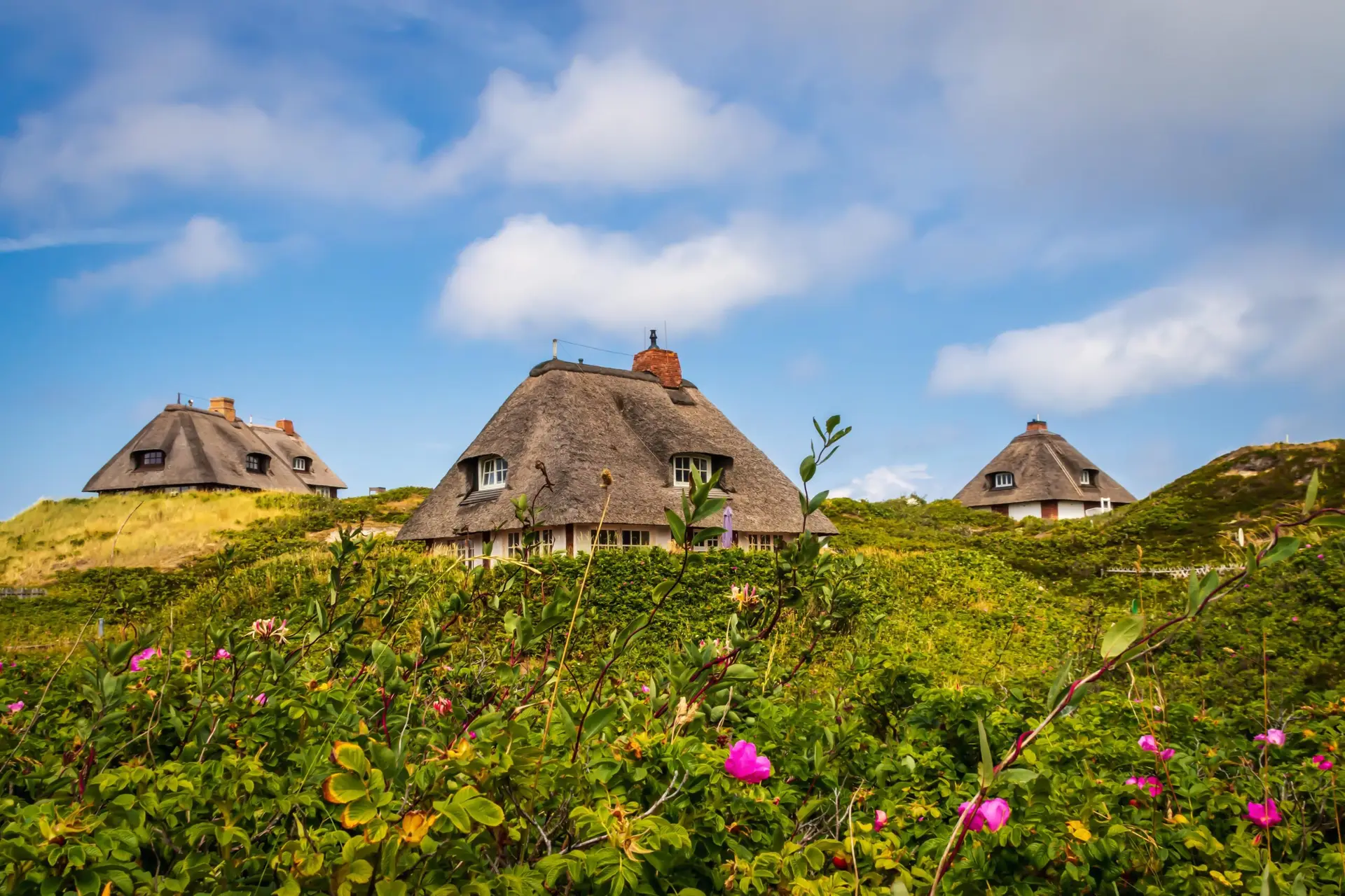 Reetdachhäuser zwischen Dünen und grüner Küstenvegetation